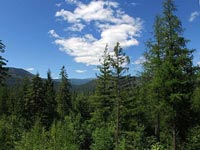 Great sloped lot with big mountain and valley views available, just pick the trees you love and remove a few to open up the vast views available.