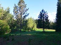This is a great opportunity to live in a beautiful North Idaho gated community on a large parcel in a beautiful setting. The Meadows at Fall Creek is meticulously maintained.