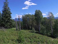 Live the lifestyle of a quiet North Idaho gated community with plenty of room to spread out. Meadows at Fall Creek is located close to Sandpoint.
