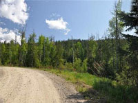 NNA Wild Turkey Road, Dover, Idaho 83825 - Looking for a little acreage but need to be close to town? Don't miss looking at this 5.65 acres only 5 miles from downtown Sandpoint, and approximately 2 miles from the town of Dover.