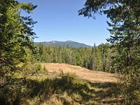 Beautiful property with plenty of building sites. Views of Schweitzer and Selkirk Mountain range in Sandpoint, Idaho