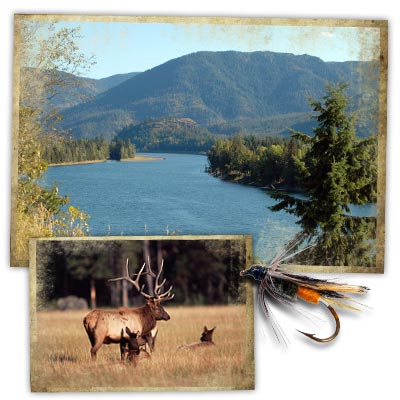 Photos of the Clark Fork River and Rocky Mountain Elk