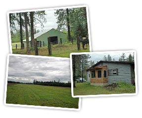 Airpark Property in North Idaho, and bring your airplane and horses! This 1.55 acre 2 bedroom 1 bath home located on Hackney Airpark in Athol