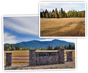 Five acre parcel with great mountain views and paved roads to the property. Build your dream home on the beautiful, ready to build property. 