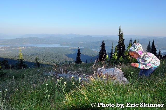 Catching Crickets on Baldy Mountain