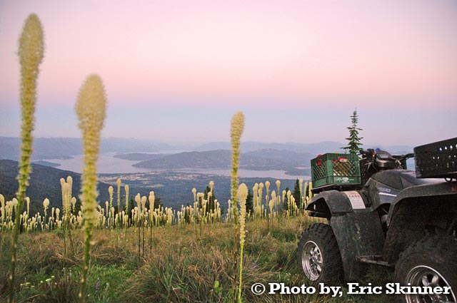 A view from Baldy Mountain