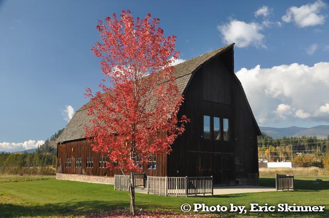 Homestead Barn in Dover Bay