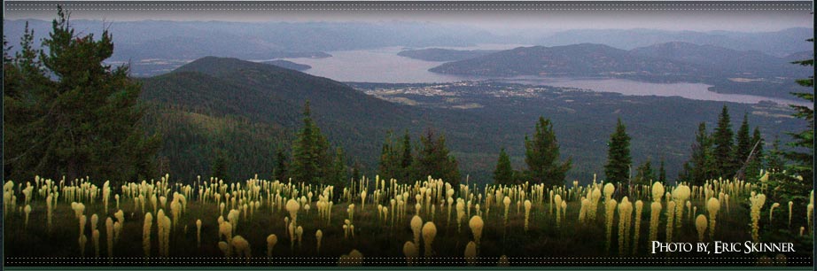 Photo of Sandpoint, Idaho taken from the top of Baldy Mountain