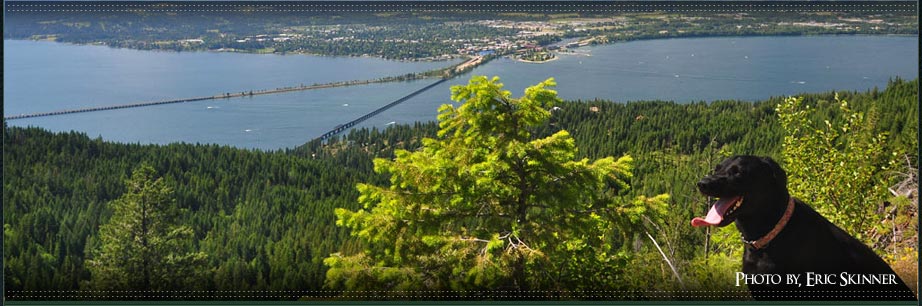 Photo of Lake Pend Oreille and the long bridge